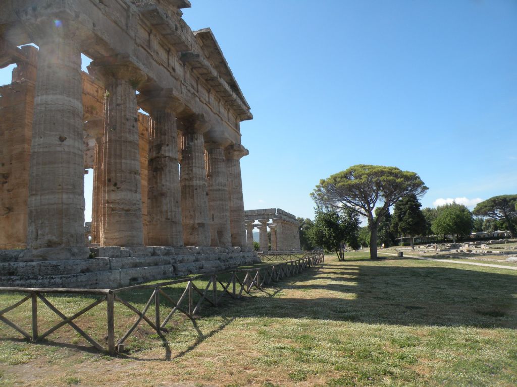 Coleottero da Paestum